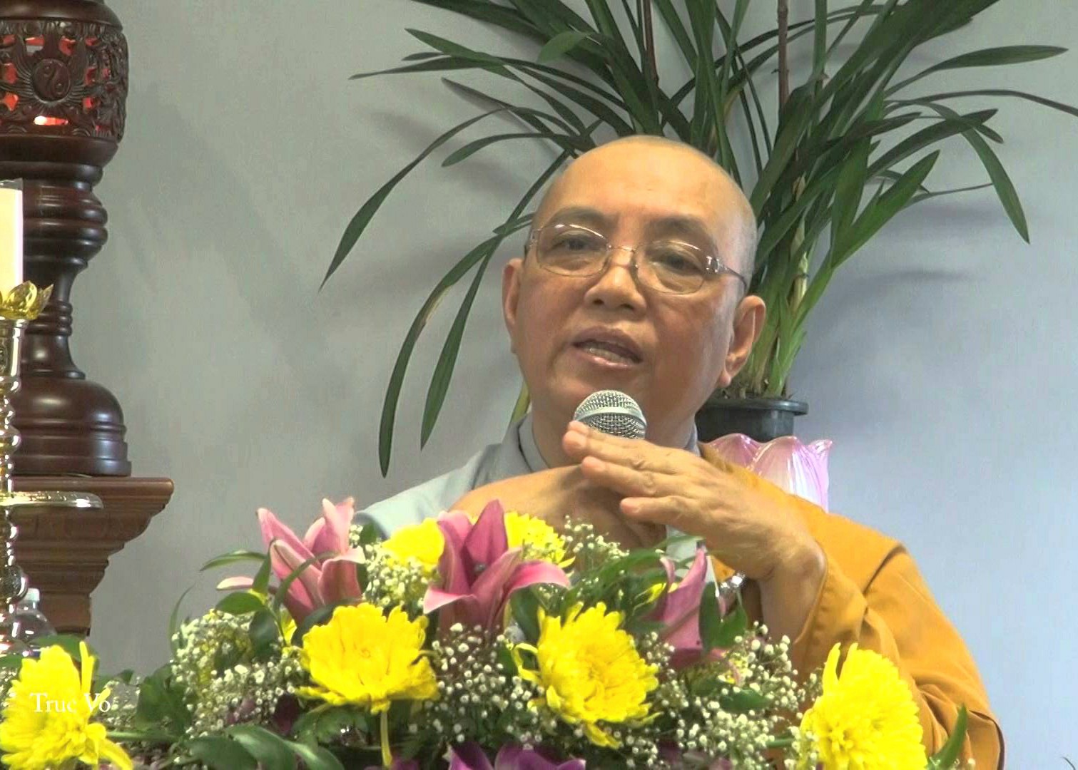 Hinh ni su nhu thuy